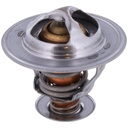 Termostato MotoRad 298-170