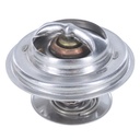 Termostato MotoRad 248-174JV