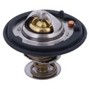 Termostato MotoRad 1068-172