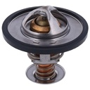 Termostato Alto Flujo MotoRad 2065-195