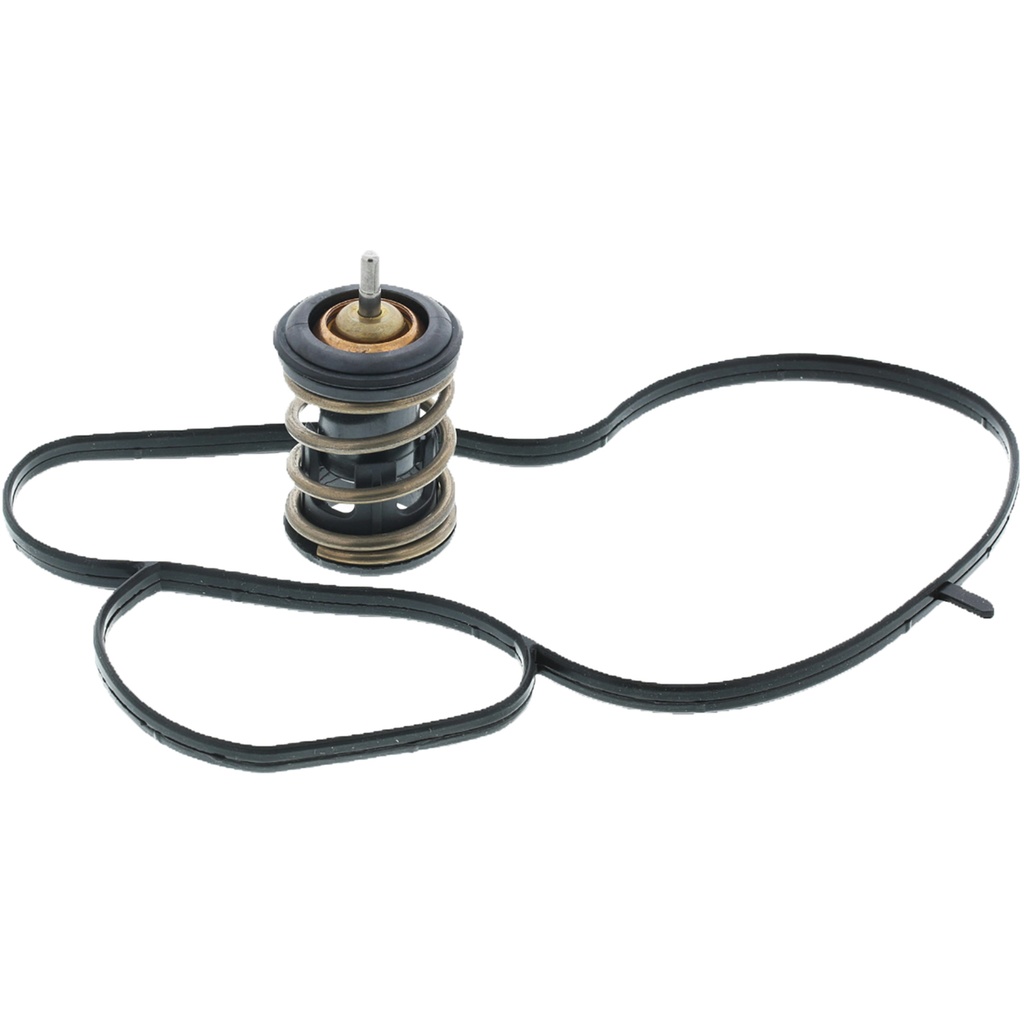 Termostato MotoRad 973-221