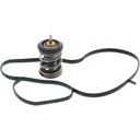 Termostato MotoRad 973-221