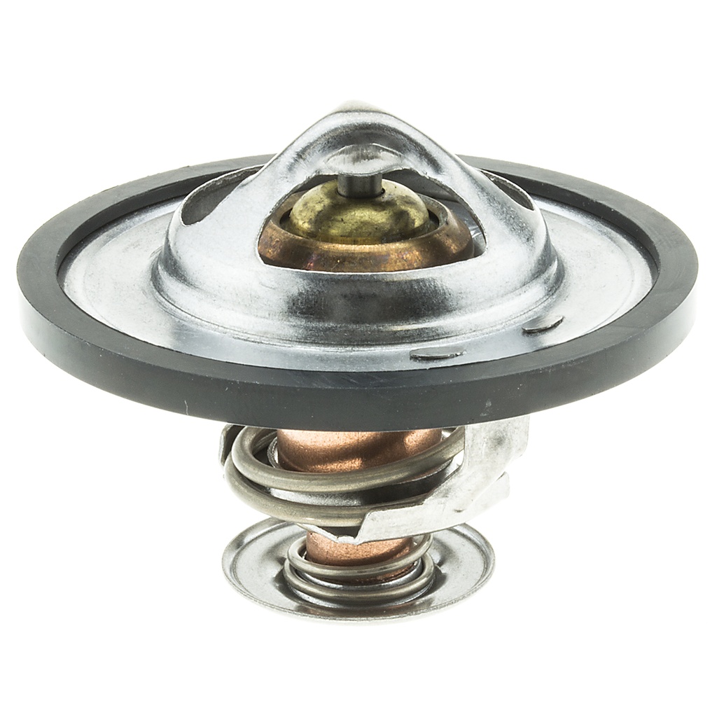Termostato MotoRad 390-195