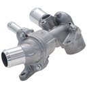 Termostato con Caja MotoRad TA6013