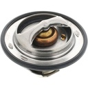 Termostato MotoRad 923-192