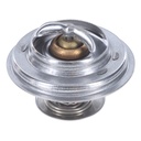 Termostato MotoRad 247-160