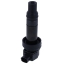 Bobina de Encendido MotoRad 1IC491
