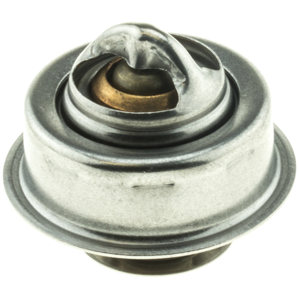 Termostato MotoRad 216-195