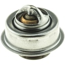Termostato MotoRad 216-195
