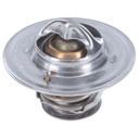 Termostato MotoRad 230-167JV