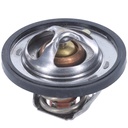 Termostato Alto Flujo MotoRad 513-180