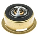 Termostato MotoRad 245-160