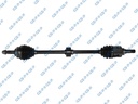 Flecha Homocinética GSP 259404