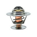 Termostato Spartan 234-192