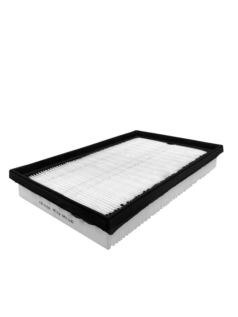 Filtro de Aire GCVW-623A Gonher