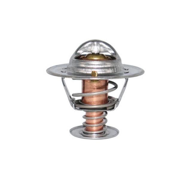 Termostato CAUPLAS TT1006