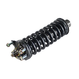 Strut Armado con Resorte Delantero Derecho GSP 30333711